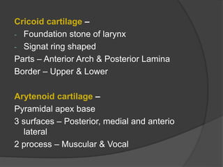 Cricoid cartilage –
- Foundation stone of larynx
- Signat ring shaped
Parts – Anterior Arch & Posterior Lamina
Border – Upper & Lower
Arytenoid cartilage –
Pyramidal apex base
3 surfaces – Posterior, medial and anterio
lateral
2 process – Muscular & Vocal
 