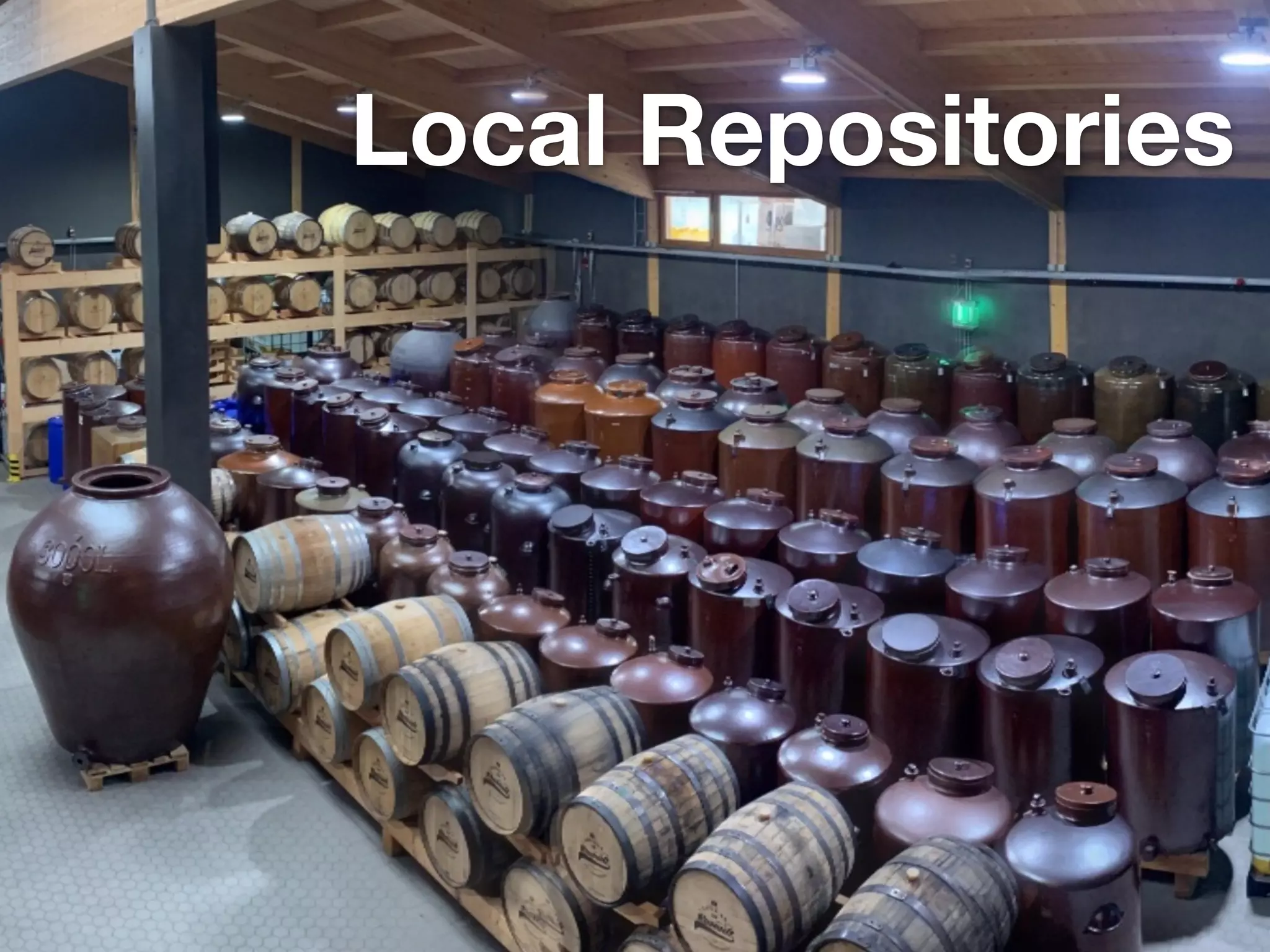 Local Repositories 