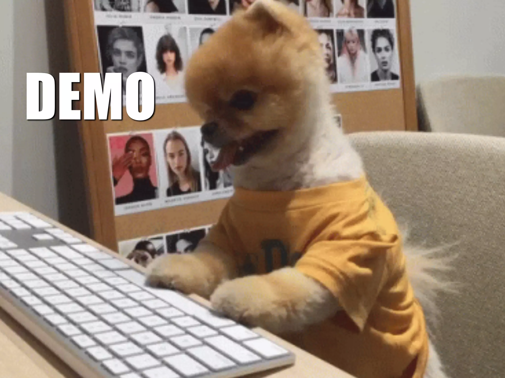 DEMO 