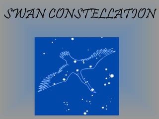 SWAN CONSTELLATION
 