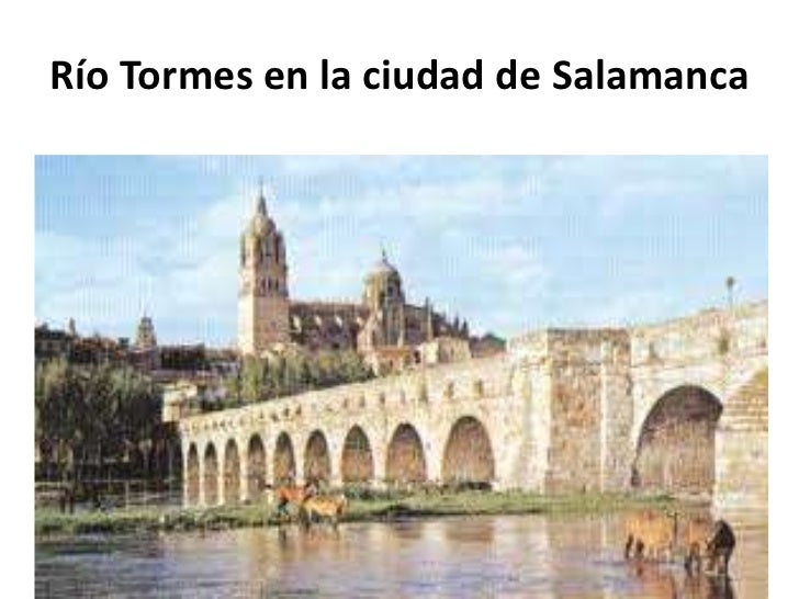 essay on lazarillo de tormes The story lazarillo de tormes revolves around the life of the protagonist, lazarillo de tormes and divides his life in different phases, at each step. essay on lazarillo de tormes The story lazarillo de tormes revolves around the life of the protagonist, lazarillo de tormes and divides his life in different phases, at each step.