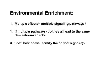 Environmental Enrichment:

1. Multiple effects= multiple signaling pathways?

1. If multiple pathways- do they all lead to the same
   downstream effect?

3. If not, how do we identify the critical signal(s)?
 