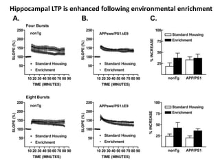 Hippocampal LTP is enhanced following environmental enrichment
 