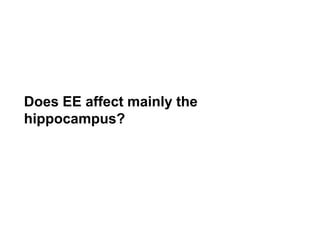 Does EE affect mainly the
hippocampus?
 