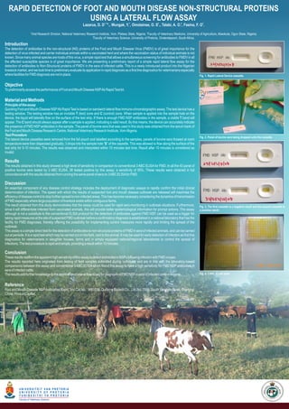 RAPID DETECTION OF FOOT AND MOUTH DISEASE NON-STRUCTURAL PROTEINS
                       USING A LATERAL FLOW ASSAY                                    1, 3                1                       2                  2                3
                                                                    Lazarus, D. D *., Wungak, Y. , Omotainse, O. S ., Talabi, A. O. , Fasina, F. O .
                      1
                          Viral Research Division, National Veterinary Research Institute, Vom, Plateau State, Nigeria; 2Faculty of Veterinary Medicine, University of Agriculture, Abeokuta, Ogun State, Nigeria;
                                                                           3
                                                                            Faculty of Veterinary Science, University of Pretoria, Onderstepoort, South Africa.
Introduction
The detection of antibodies to the non-structural (NS) proteins of the Foot and Mouth Disease Virus (FMDV) is of great importance for the
detection of virus infected and carrier individual animals within a vaccinated herd and where the vaccination status of individual animals is not
known. Since many animal species are hosts of this virus, a simple rapid test that allows a simultaneous screening for antibodies to FMDV in all
the affected susceptible species is of great importance. We are presenting a preliminary report of a simple rapid lateral flow assay for the
detection of antibodies to Non-Structural proteins of FMDV in the sera of infected cattle. This is a newly introduced product into the Nigerian
livestock market, and we took time to preliminary evaluate its application in rapid diagnosis as a first line diagnostics for veterinarians especially
where facilities for FMD diagnosis are not in place.                                                                                                               Fig. 1. Rapid Lateral Device cassette.


Objective
To preliminarily access the performance of Foot and Mouth Disease NSP Ab Rapid Test kit.

Material and Methods
Principle of the assay
Quicking Foot and Mouth Disease NSP Ab Rapid Test is based on sandwich lateral flow immuno-chromatographic assay. The test device has a
testing window. The testing window has an invisible T (test) zone and C (control) zone. When sample is applied into the sample hole on the
device, the liquid will laterally flow on the surface of the test strip. If there is enough FMD NSP antibodies in the sample, a visible T band will
appear. The C band should always appear after a sample is applied, indicating a valid result. By this means, the device can accurately indicate
the presence of FMD NSP antibodies in the sample. The panel of bovine sera that was used in this study was obtained from the serum bank of
the Foot and Mouth Disease Research Centre, National Veterinary Research Institute, Vom-Nigeria.
Test Procedure
                                                                                                                                                                   Fig. 2. Panel of bovine sera being dropped unto the cassette.
The lateral device cassettes were removed from the foil pouch and labelled according to the samples, panels of bovine sera thawed at room
temperature were then dispensed gradually; 3 drops into the sample hole “S” of the cassette. This was allowed to flow along the surface of the
test strip for 5-10 minutes. The results was observed and interpreted within 10 minutes test time. Result after 10 minutes is considered as
invalid.

Results
The results obtained in this study showed a high level of sensitivity in comparison to conventional 3 ABC ELISA for FMD. In all the 40 panel of
positive bovine sera tested by 3 ABC ELISA, 38 tested positive by this assay; a sensitivity of 95%. These results were obtained in full
concordance with the results obtained from running the same panel of sera on 3 ABC ELISA for FMD.

Discussion
An essential component of any disease control strategy includes the deployment of diagnostic assays to rapidly confirm the initial clinical
determination of infection. The speed with which the results of suspected foot and mouth disease outbreak are released will maximise the
efficiency of disease control to stop further spread to non-infected areas. This has become necessary considering the dynamics of transmission
of FMD especially where large population of livestock exists within contiguous farms.
The result obtained from this study demonstrates that the assay could be used for rapid sero-monitoring in outbreak situations. Furthermore,                       Fig. 3. The first cassette is a negative result and the second cassette is
since it will differentiate infected from vaccinated animals, this will provide better epidemiological information for prompt actions. This assay                  a positive result.
although is not a substitute to the conventional ELISA protocol for the detection of antibodies against FMD NSP, can be used as a trigger for
taking rapid measures at the site of suspected FMD outbreak before a confirmatory diagnosis is established in a national laboratory that has the
facility for FMD diagnoses, thereby offering the possibility for implementing control measures more rapidly and limiting the spread of the
outbreak.
This assay is a simple direct test for the detection of antibodies to non-structural proteins of FMD in sera of infected animals, and can be carried
out at penside. It is a rapid test which may be carried out on the field, next to the animal. It may be used for early detection of infection as first line
diagnostics for veterinarians in slaughter houses, farms and in simply equipped national/regional laboratories to control the spread of
infections. The test procedure is rapid and simple, providing a result within 10 minutes.

Conclusion
These results reaffirm the apparent high sensitivity of this assay to detect antibodies to NSPs following infection with FMD viruses.
The results reported here originated from testing of field samples submitted during outbreaks and are in line with the laboratory-based
comparisons between this assay and conventional 3 ABC ELISA which found this assay to have a high sensitivity for FMD NSP antibodies in
sera of infected cattle.
The results add further knowledge to the application of lateral flow assay for diagnosis of FMD NSP in sera of infected cattle in Nigeria.                         Fig. 4. 3 ABC ELISA plate


Reference
Foot and Mouth Disease NSP Antibodies Rapid Test Cat No. : W81058. Quicking Biotech Co., Ltd. No. 1998. South Yanggao Road, Shanghai
China. Product Leaflet.




           UNIVERSITEIT VAN PRETORIA
           UNIVERSITY OF PRETORIA
           Y U N I B E S I T H I YA P R E T O R I A
           Faculty of Veterinary Science                                                                                                                                                                                        V   O   M
 