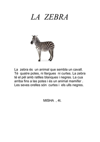 LA ZEBRA




La zebra és un animal que sembla un cavall.
Té quatre potes, ni llargues ni curtes. La zebra
té el pèl amb ratlles blanques i negres. La cua
arriba fins a las potes i és un animal mamífer .
Les seves orelles són curtes i els ulls negres.



                   MISHA , 4t.
 