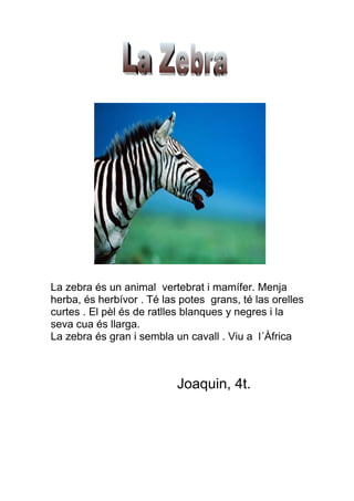 La zebra és un animal vertebrat i mamífer. Menja
herba, és herbívor . Té las potes grans, té las orelles
curtes . El pèl és de ratlles blanques y negres i la
seva cua és llarga.
La zebra és gran i sembla un cavall . Viu a l´Àfrica



                           Joaquin, 4t.
 