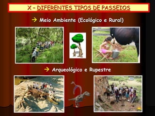 X – DIFERENTES TIPOS DE PASSEIOS
 Meio Ambiente (Ecológico e Rural)
 Arqueológico e Rupestre
 