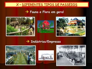 X – DIFERENTES TIPOS DE PASSEIOS
 Fauna e Flora em geral
 Indústrias/Empresas
 