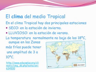 El clima del medio Tropical
En el clima Tropical hay dos principales estaciones
 SECO: en la estación de invierno.
 LLUVIOSO: en la estación de verano.
La temperatura normalmente no baja de los 18ºC,
  aunque en los Zonas
más fríos puede tener
 una amplitud de 3 a
10ºC.
http://www.educaplus.org/cli
matic/cmg_db.php?estacion=
634500
 