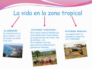 La vida en la zona tropical

La población          Actividades tradicionales
                                                        Actividades Modernas
Se concentra en la   En la zona tropical húmeda las
                     actividades mas tradicionales      La exportación. La
zona costera y en                                       ganadería comercial
las zonas cercanas   es la agricultura de rozas, tala
                     de árboles , etc.                  y el TURISMO
a los ríos.
                     En la sabana viven los
                     agricultores sedentarios y
                     ganaderos nómadas.
 