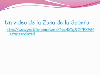 Un video de la Zona de la Sabana
http://www.youtube.com/watch?v=zKQqSlOJFXE&f
  eature=related
 