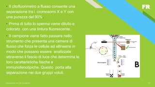 FR
Aggiungere un piè di pagina 10
• Il citofluorimetro a flusso consente una
separazione tra i cromosomi X e Y con
una purezza del 90%.
• Prima di tutto lo sperma viene diluito e
colorato con una tintura fluorescente.
• Il campione viene fatto passare nello
strumento che presenta una camera di
flusso che forza le cellule ad allinearsi in
modo che possano essere analizzate
attraverso il fascio di luce che determina le
loro caratteristiche fisiche e
immunofenotipiche. Questo porta alla
separazione nei due gruppi voluti.
 