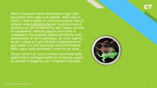 CT
Aggiungere un piè di pagina 7
• Molte clonazioni hanno interessato negli anni
successivi altre specie di animali, dalle rane ai
maiali. L’idea è quella di utilizzare questo tipo di
animali come biofabbriche per la produzione di
proteine ad uso farmaceutico per l’uomo, private
di componenti dannose oppure arricchite di
componenti che possano essere sfruttate nella
prevenzione di certe patologie. In ovini, caprini,
bovini, conigli si è già ottenuta l’espressione di
geni umani e si sta lavorando sull’antitrombina
nella capra, sulla proteina C reattiva nei suini...
• Alcuni istituti di ricerca stanno lavorando sulla
possibilità e sull’opportunità di utilizzare organi
da animali transgenici per i trapianti nell’uomo.
 