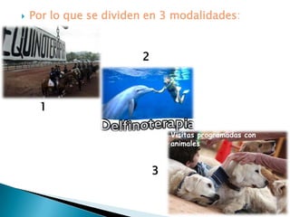    Por lo que se dividen en 3 modalidades:


                        2



     1

                                Visitas programadas con
                                animales


                            3
 