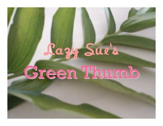 Lazy Sue’s
Green Thumb