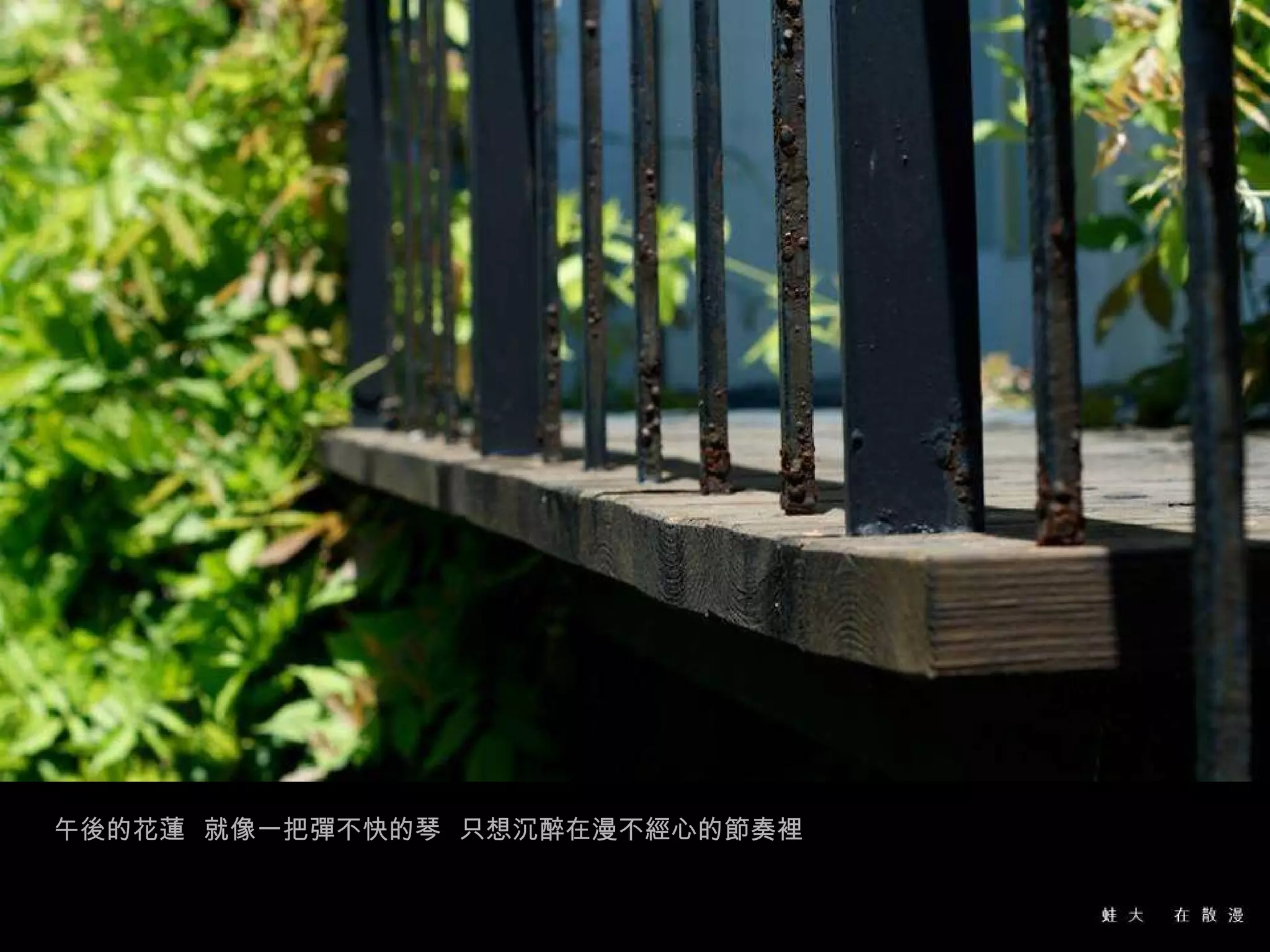 午後的花蓮  就像一把彈不快的琴  只想沉醉在漫不經心的節奏裡 