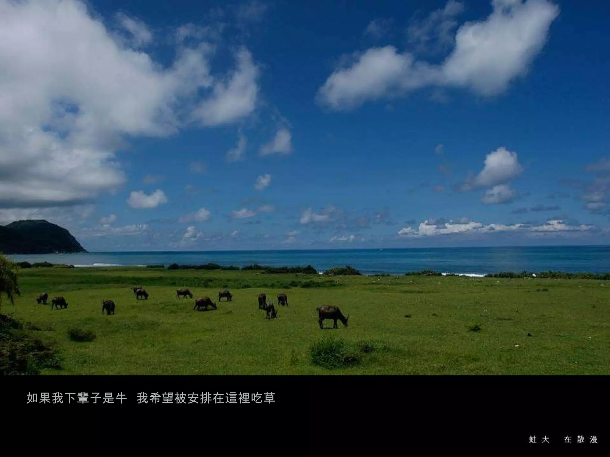 如果我下輩子是牛  我希望被安排在這裡吃草  