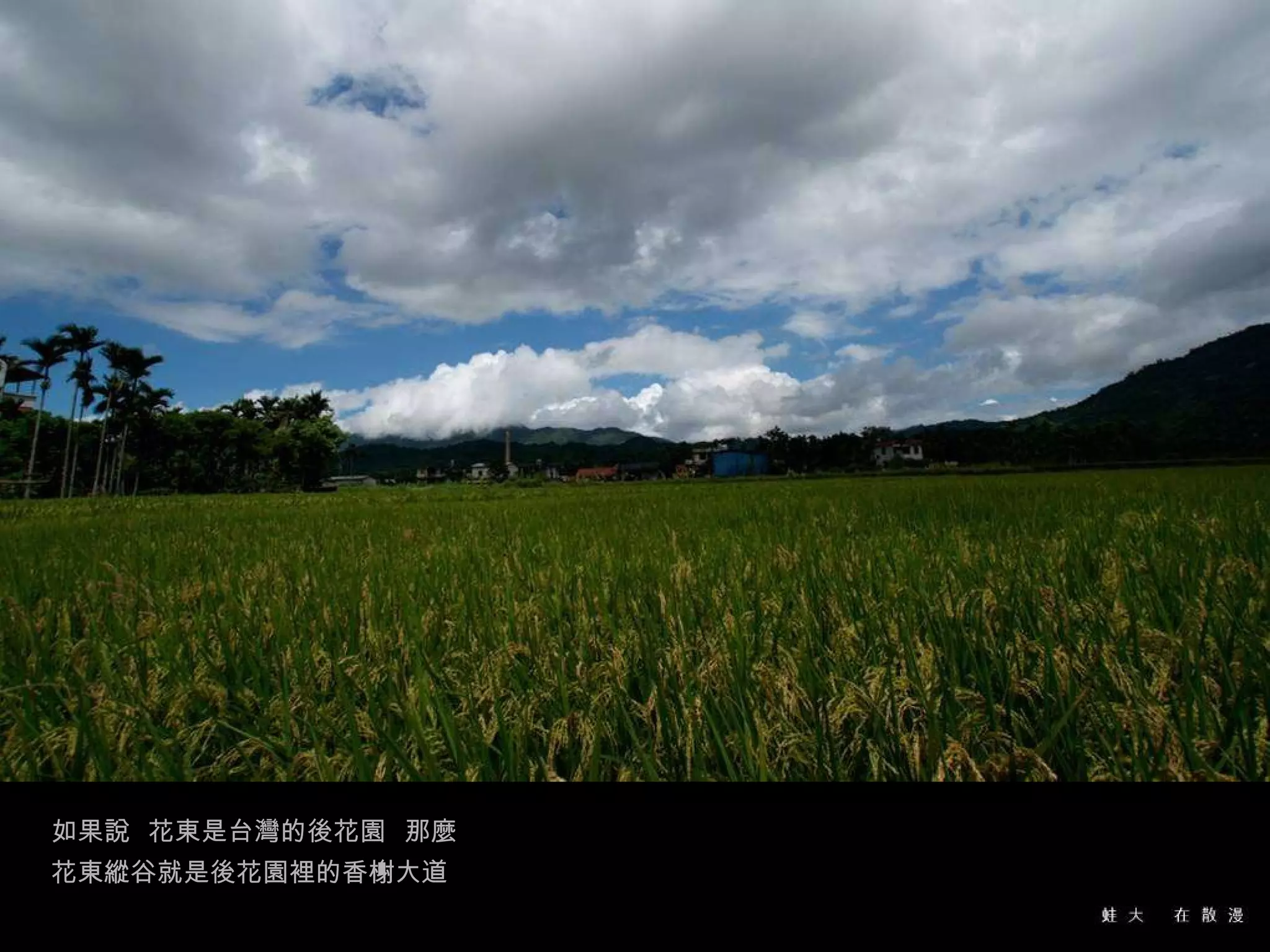 如果說  花東是台灣的後花園  那麼  花東縱谷就是後花園裡的香榭大道 