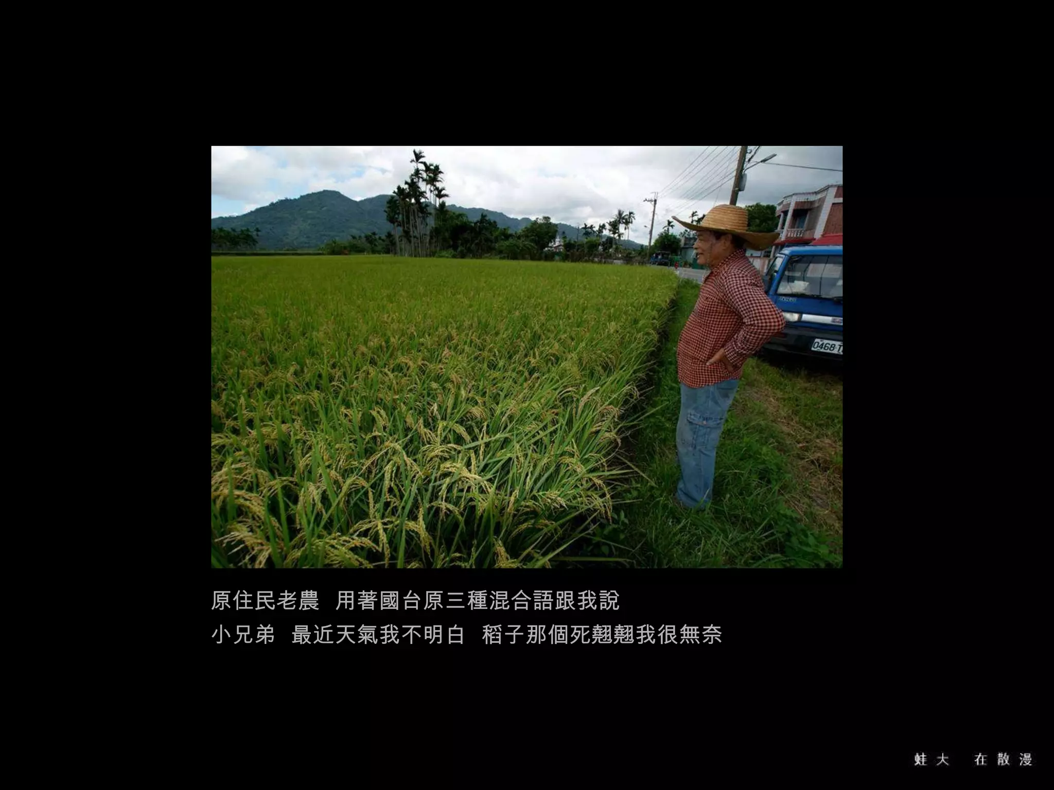 原住民老農  用著國台原三種混合語跟我說 小兄弟  最近天氣我不明白  稻子那個死翹翹我很無奈 