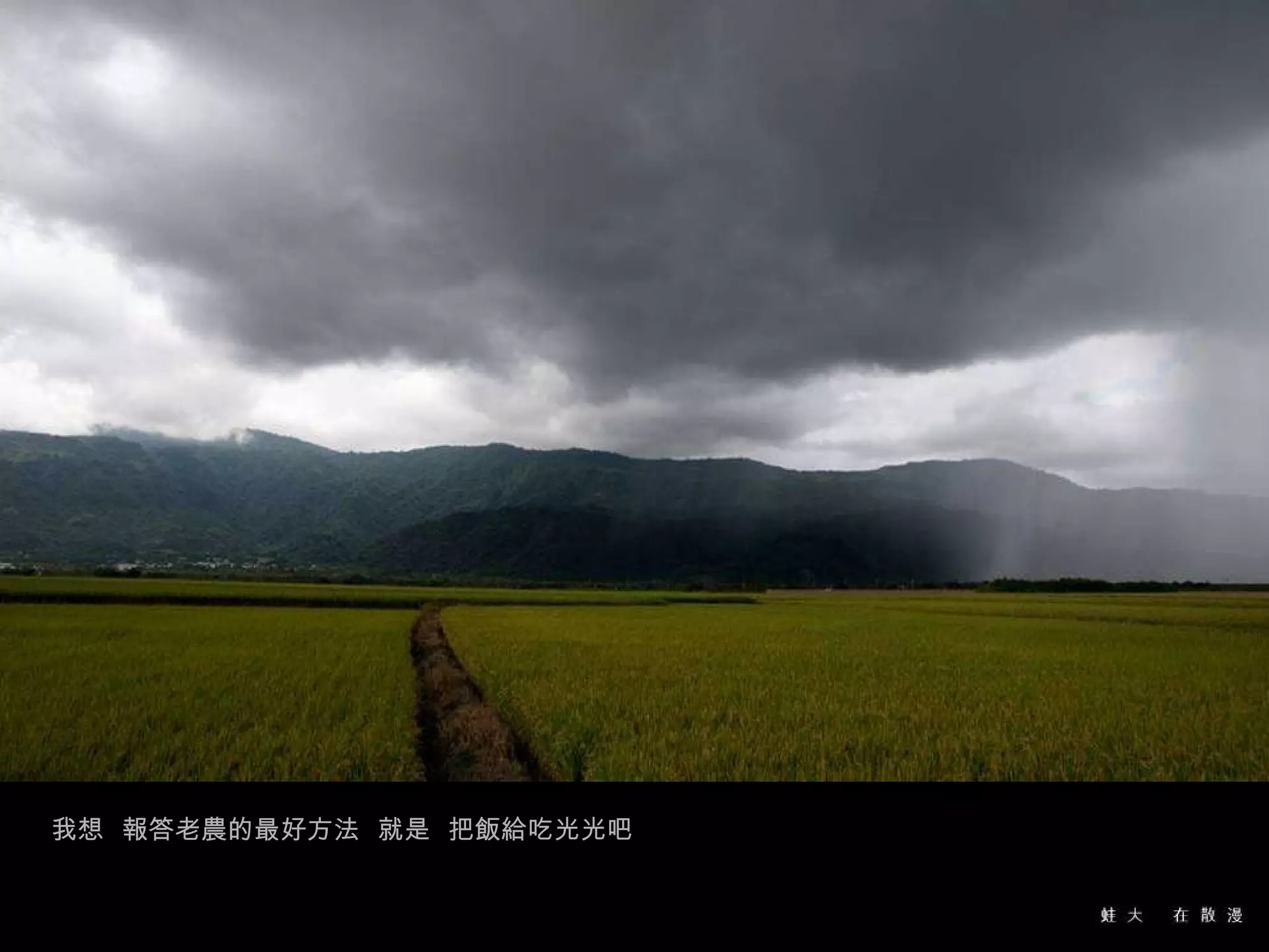 我想  報答老農的最好方法  就是  把飯給吃光光吧 