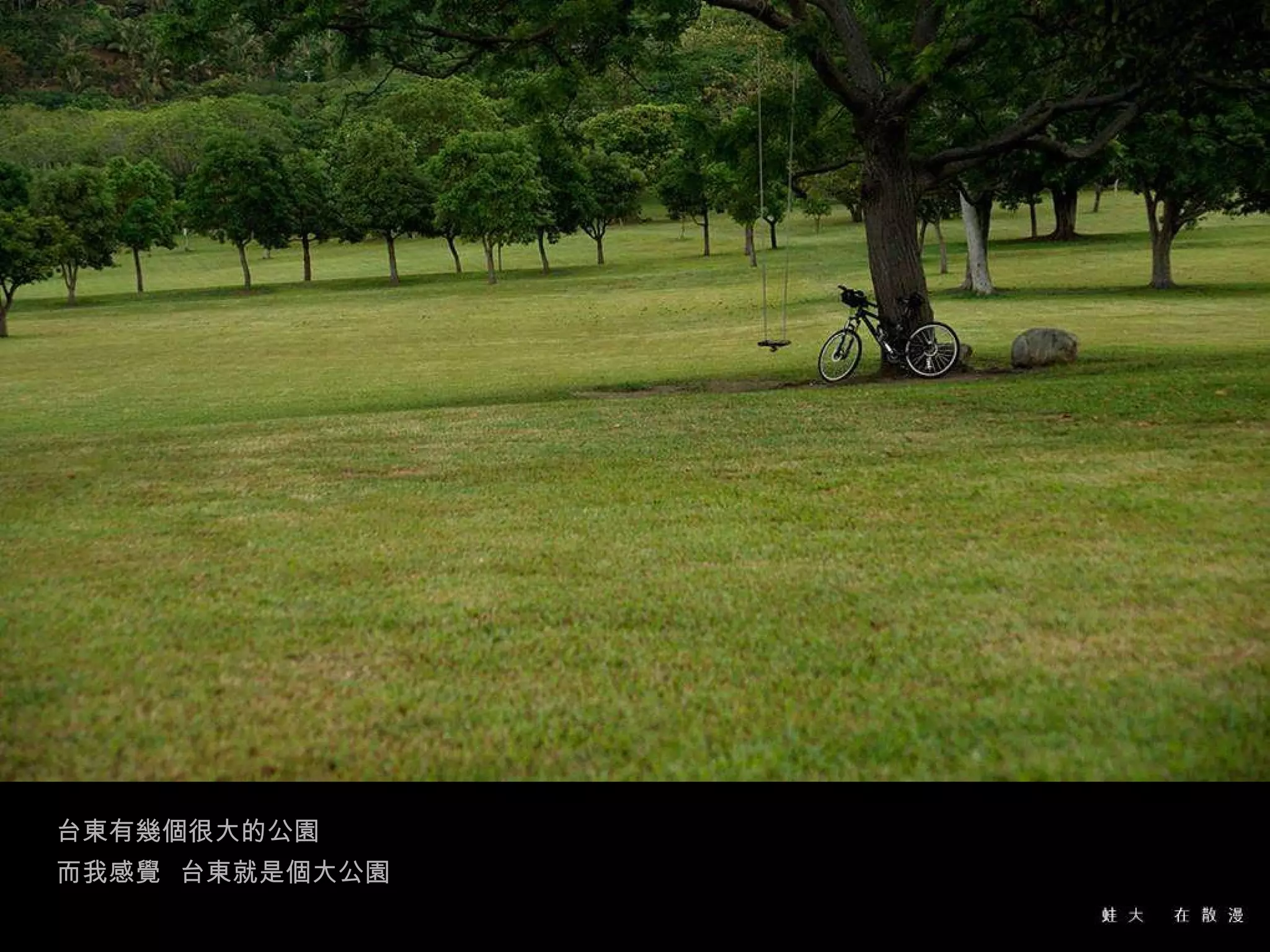 台東有幾個很大的公園  而我感覺  台東就是個大公園 