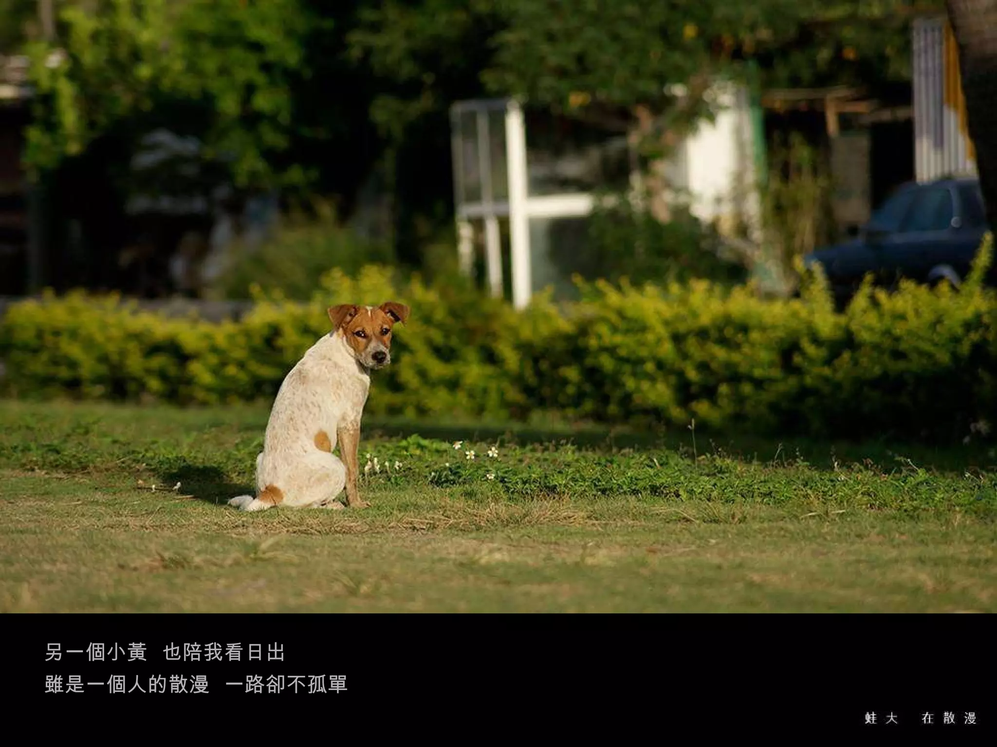 另一個小黃  也陪我看日出 雖是一個人的散漫  一路卻不孤單 