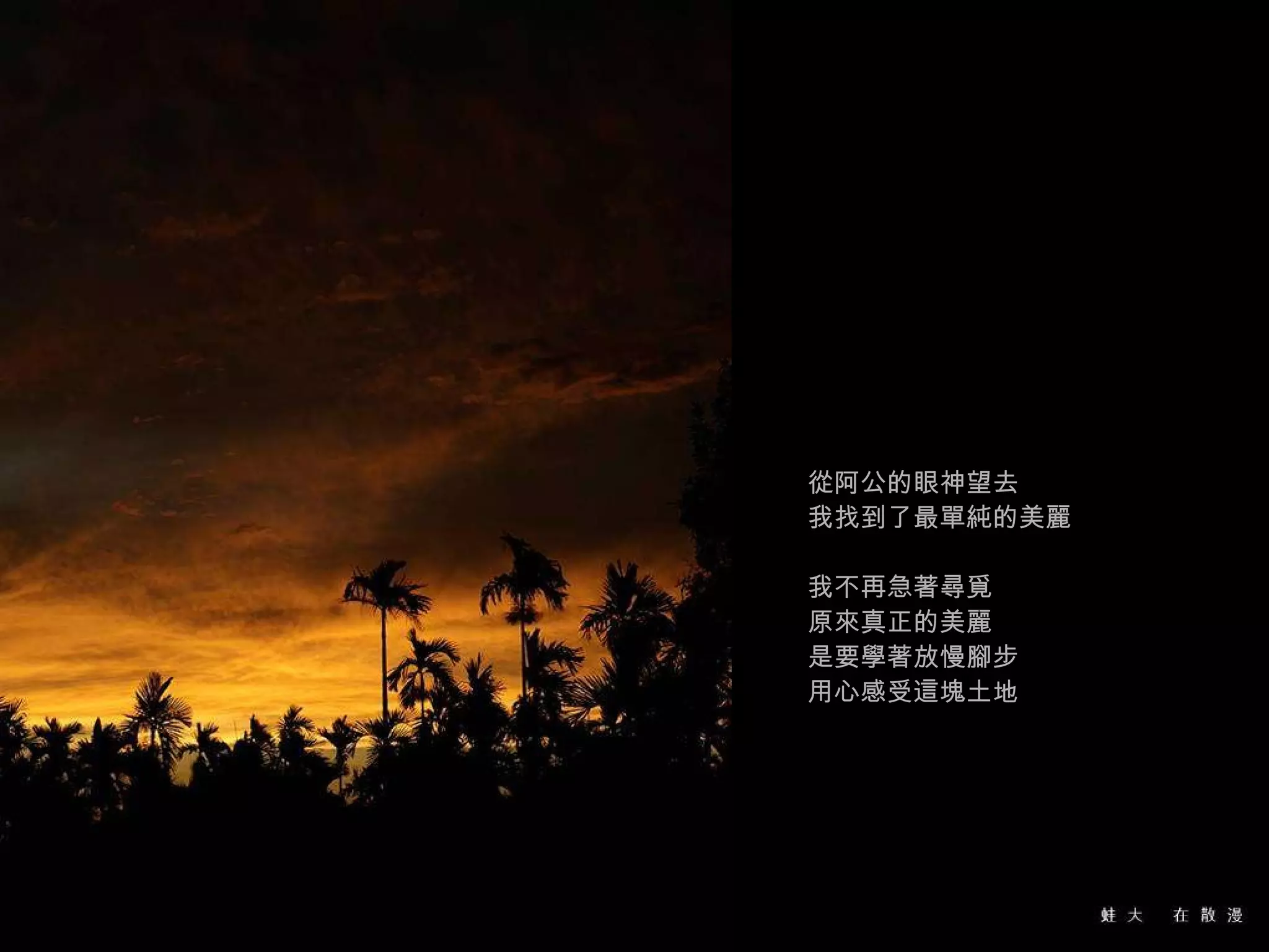 從阿公的眼神望去 我找到了最單純的美麗 我不再急著尋覓 原來真正的美麗 是要學著放慢腳步 用心感受這塊土地 