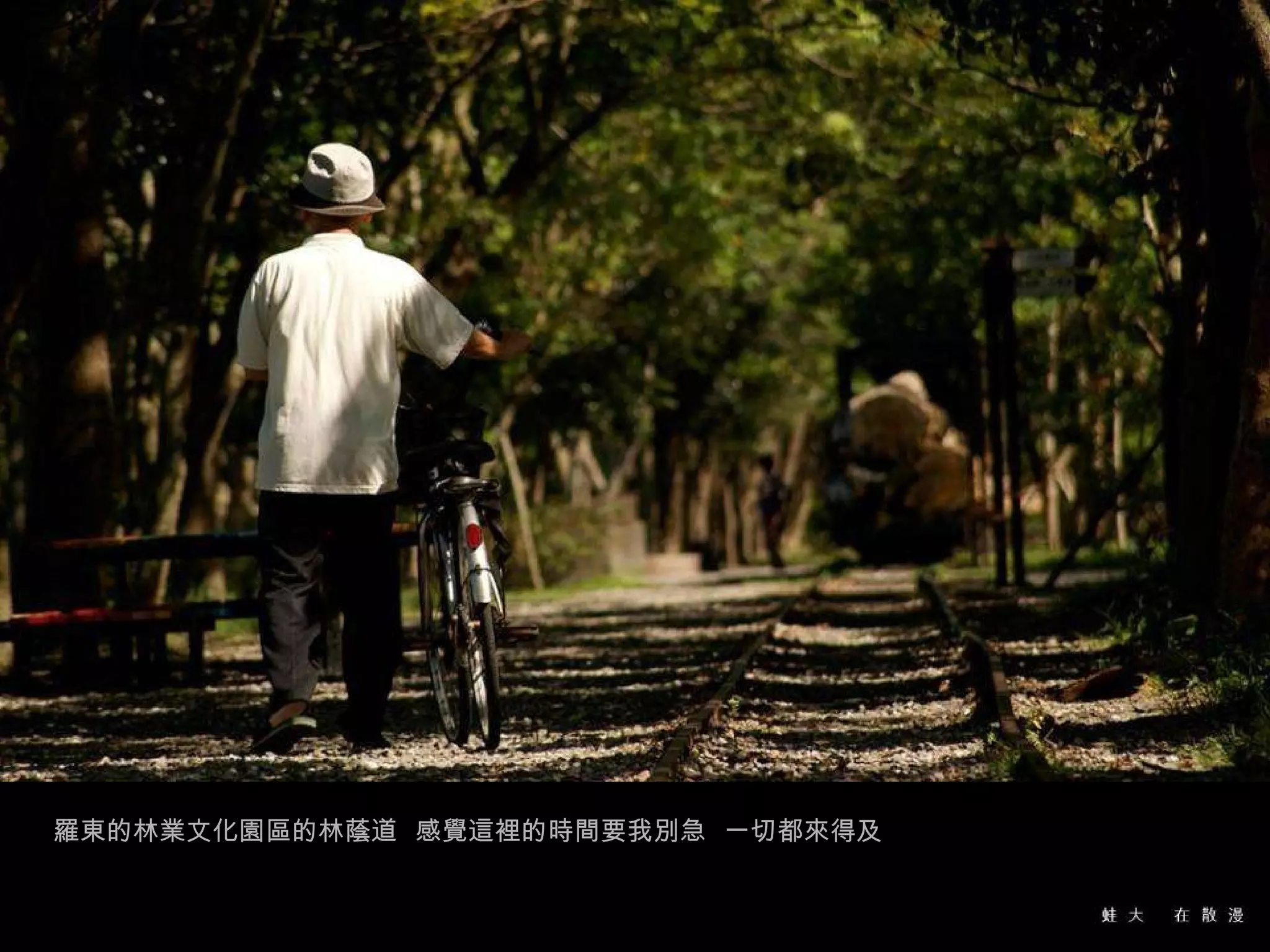 羅東的林業文化園區的林蔭道  感覺這裡的時間要我別急  一切都來得及 