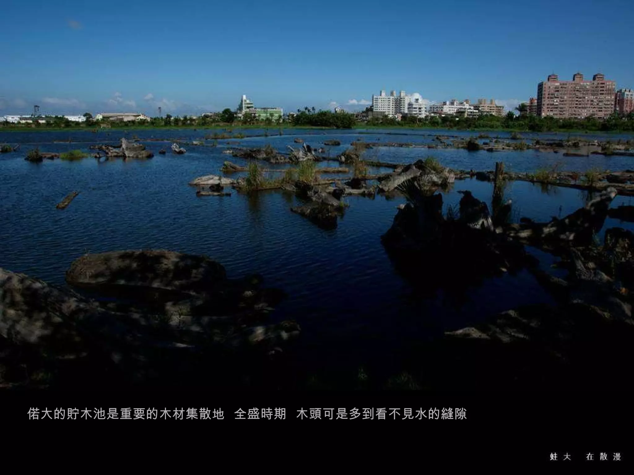 偌大的貯木池是重要的木材集散地  全盛時期  木頭可是多到看不見水的縫隙 