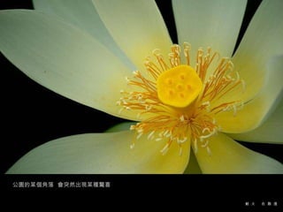 公園的某個角落  會突然出現某種驚喜 