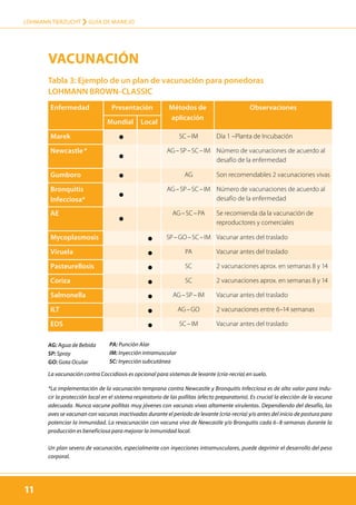 Tabla 3: Ejemplo de un plan de vacunación para ponedoras
LOHMANN BROWN-CLASSIC
11
LOHMANN TIERZUCHT › guía de manejo
11
Enfermedad Presentación Métodos de
aplicación
Observaciones
Mundial Local
Marek SC – IM Día 1 –Planta de Incubación
Newcastle * AG – SP – SC – IM Número de vacunaciones de acuerdo al
desafío de la enfermedad
Gumboro AG Son recomendables 2 vacunaciones vivas
Bronquitis
Infecciosa*
AG – SP – SC – IM Número de vacunaciones de acuerdo al
desafío de la enfermedad
AE AG – SC – PA Se recomienda da la vacunación de
reproductores y comerciales
Mycoplasmosis SP – GO – SC – IM Vacunar antes del traslado
Viruela PA Vacunar antes del traslado
Pasteurellosis SC 2 vacunaciones aprox. en semanas 8 y 14
Coriza SC 2 vacunaciones aprox. en semanas 8 y 14
Salmonella AG – SP – IM Vacunar antes del traslado
ILT AG – GO 2 vacunaciones entre 6–14 semanas
EDS SC – IM Vacunar antes del traslado
*La implementación de la vacunación temprana contra Newcastle y Bronquitis Infecciosa es de alto valor para indu-
cir la protección local en el sistema respiratorio de las pollitas (efecto preparatorio). Es crucial la elección de la vacuna
adecuada. Nunca vacune pollitas muy jóvenes con vacunas vivas altamente virulentas. Dependiendo del desafío, las
aves se vacunan con vacunas inactivadas durante el período de levante (cría-recría) y/o antes del inicio de postura para
potenciar la inmunidad. La revacunación con vacuna viva de Newcastle y/o Bronquitis cada 6–8 semanas durante la
producción es beneficiosa para mejorar la inmunidad local.
Un plan severo de vacunación, especialmente con inyecciones intramusculares, puede deprimir el desarrollo del peso
corporal.
AG: Agua de Bebida
SP: Spray
GO: Gota Ocular
PA: Punción Alar
IM: Inyección intramuscular
SC: Inyección subcutánea
La vacunación contra Coccidiosis es opcional para sistemas de levante (cría-recría) en suelo.
Vacunación
 