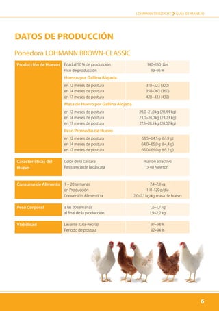 6
LOHMANN TIERZUCHT › Guía de manejo
6
Producción de Huevos Edad al 50 % de producción
Pico de producción
140–150 días
93–95 %
Huevos por Gallina Alojada
en 12 meses de postura
en 14 meses de postura
en 17 meses de postura
318–323 (320)
358–363 (360)
428–433 (430)
Masa de Huevo por Gallina Alojada
en 12 meses de postura
en 14 meses de postura
en 17 meses de postura
20,0–21,0 kg (20,44 kg)
23,0–24,0 kg (23,23 kg)
27,5–28,5 kg (28,02 kg)
Peso Promedio de Huevo
en 12 meses de postura
en 14 meses de postura
en 17 meses de postura
63,5–64,5 g (63,9 g)
64,0–65,0 g (64,4 g)
65,0–66,0 g (65,2 g)
Características del
Huevo
Color de la cáscara
Resistencia de la cáscara
marrón atractivo
> 40 Newton
Consumo de Alimento 1 – 20 semanas
en Producción
Conversión Alimenticia
7,4–7,8 kg
110–120 g/día
2,0–2,1 kg/kg masa de huevo
Peso Corporal a las 20 semanas
al final de la producción
1,6–1,7 kg
1,9–2,2 kg
Viabilidad Levante (Cría-Recría)
Período de postura
97–98 %
92–94 %
Datos de Producción
Ponedora LOHMANN BROWN-CLASSIC
 