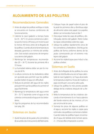 7
LOHMANN TIERZUCHT › guía de manejo
7
Recomendaciones Generales
›› Antes de alojar las pollitas verifique si todo
se encuentra en buenas condiciones de
funcionamiento.
›› Caliente la nave (galpón) a tiempo hasta
los 35 – 36 °C. En verano comience a calen-
tar por lo menos 24 horas y en invierno por
lo menos 48 horas antes de la llegada de
las pollitas. Cuando al­cance la temperatura
deseada, garantice un mínimo de ventila-
ción. Esto evitará variaciones de tempera-
tura dentro del galpón.
›› Mantenga las temperaturas recomenda-
das (35 – 36 °C) durante las primeras 48 a
72 horas.
›› La humedad relativa debe ser por lo me-
nos de 60 %.
›› La altura correcta de los bebederos debe
ser ajustada para permitir que las pollitas
puedan beber el agua sin dificultad.
›› Reduzca la presión del agua de los niples
para permitir que las pollitas encuentren el
agua fácilmente.
›› Mantenga la temperatura del agua entre
20 – 25 °C haciendo correr el agua en las
cañerías o renovando el agua en los bebe-
deros.
›› Siga los programas de luz recomendados
(ver pág. 26).
Sistemas en Jaulas
›› Ajuste los pisos de las jaulas y los comederos
de acuerdo a las instrucciones del fabricante.
›› Coloque hojas de papel sobre el piso de
la jaula los primeros días y distribuya algo
de alimento sobre este papel. Los papeles
deben ser removidos hasta el día 7.
›› Descargue todas las cajas de pollitas y dis-
tribúyalas dentro del galpón. Retire todas
las tapas colocándolas sobre las cajas.
›› Ubique las pollitas rápidamente cerca de
los comederos y bebederos. Distribuya las
pollitas de forma uniforme dentro de las
jaulas comenzando por el extremo más
lejano del galpón.
›› Accione los niples/copas para inducir a las
pollitas a beber.
Sistemas en Suelo
›› Antes de la llegada de las pollitas, la cama
debe ser distribuída una vez se haya calen-
tado la nave (galpón) y se haya alcanzado
la temperatura óptima. Viruta de madera o
paja constituyen una cama adecuada.
›› Ubique las pollitas lo más pronto posible
debajo de las criadoras después de su lle-
gada.
›› Mida la temperatura de las criadoras ubi-
cando el termómetro 8 cm hacia adentro
del borde externo de las mismas y 8 cm
por encima de la cama.
›› Sumerja los picos de algunas pollitas en
el agua y accione los niples o copas para
estimular a las pollitas a comenzar a beber.
Cuando todas las pollitas hayan encontra-
do el agua de bebida (esto tomará aprox.
2 – 3 horas) ellas empezarán a comer.
Alojamiento de las Pollitas
 