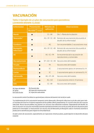 12
LOHMANN › GUÍA DE MANEJO
12
Tabla 3: Ejemplo de un plan de vacunación para ponedoras
LOHMANN BROWN-CLASSIC
Enfermedad Presentación Métodos de
aplicación
Observaciones
Mundial Local
Marek SC – IM Día 1 –Planta de Incubación
Newcastle * AG – SP – SC – IM Número de vacunaciones de acuerdo al
desafío de la enfermedad
Gumboro AG Son recomendables 2 vacunaciones vivas
Bronquitis
Infecciosa*
AG – SP – SC – IM Número de vacunaciones de acuerdo al
desafío de la enfermedad
AE AG – SC – PA Se recomienda da la vacunación de
reproductores y comerciales
Mycoplasmosis SP – GO – SC – IM Vacunar antes del traslado
Viruela PA Vacunar antes del traslado
Pasteurellosis SC 2 vacunaciones aprox. en semanas 8 y 14
Coriza SC 2 vacunaciones aprox. en semanas 8 y 14
Salmonella AG – SP – IM Vacunar antes del traslado
ILT AG – GO 2 vacunaciones entre 6–14 semanas
EDS SC – IM Vacunar antes del traslado
La vacunación contra Coccidiosis es opcional para sistemas de levante (cría-recría) en suelo.
*La implementación de la vacunación temprana contra Newcastle y Bronquitis Infecciosa es de alto valor para indu-
cir la protección local en el sistema respiratorio de las pollitas (efecto preparatorio). Es crucial la elección de la vacuna
adecuada. Nunca vacune pollitas muy jóvenes con vacunas vivas altamente virulentas. Dependiendo del desafío, las
aves se vacunan con vacunas inactivadas durante el período de levante (cría-recría) y/o antes del inicio de postura para
potenciar la inmunidad. La revacunación con vacuna viva de Newcastle y/o Bronquitis cada 6–8 semanas durante la
producción es beneficiosa para mejorar la inmunidad local.
Un plan severo de vacunación, especialmente con inyecciones intramusculares, puede deprimir el desarrollo del peso
corporal.
AG: Agua de Bebida
SP: Spray
GO: Gota Ocular
PA: Punción Alar
IM: Inyección intramuscular
SC: Inyección subcutánea
VACUNACIÓN
 