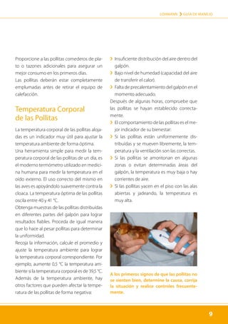9
LOHMANN › GUÍA DE MANEJO
9

Proporcione a las pollitas comederos de pla-
to o tazones adicionales para asegurar un
mejor consumo en los primeros días.

Las pollitas deberán estar completamente
emplumadas antes de retirar el equipo de
calefacción.
Temperatura Corporal
de las Pollitas
La temperatura corporal de las pollitas aloja-
das es un indicador muy útil para ajustar la
temperatura ambiente de forma óptima.
Una herramienta simple para medir la tem-
peratura corporal de las pollitas de un día, es
el moderno termómetro utilizado en medici-
na humana para medir la temperatura en el
oído externo. El uso correcto del mismo en
las aves es apoyándolo suavemente contra la
cloaca. La temperatura óptima de las pollitas
oscila entre 40 y 41 °C.
Obtenga muestras de las pollitas distribuídas
en diferentes partes del galpón para lograr
resultados fiables. Proceda de igual manera
que lo hace al pesar pollitas para determinar
la uniformidad.
Recoja la información, calcule el promedio y
ajuste la temperatura ambiente para lograr
la temperatura corporal correspondiente. Por
ejemplo, aumente 0,5 °C la temperatura am-
biente si la temperatura corporal es de 39,5 °C.
Además de la temperatura ambiente, hay
otros factores que pueden afectar la tempe-
ratura de las pollitas de forma negativa:
	
› Insuficiente distribución del aire dentro del
galpón.
	
› 
Bajo nivel de humedad (capacidad del aire
de transferir el calor).
	
› Falta de precalentamiento del galpón en el
momento adecuado.
Después de algunas horas, compruebe que
las pollitas se hayan establecido correcta-
mente.
	
› El comportamiento de las pollitas es el me-
jor indicador de su bienestar:
	
› 
Si las pollitas están uniformemente dis­
tribuídas y se mueven libremente, la tem-
peratura y la ventilación son las correctas.
	
› 
Si las pollitas se amontonan en algunas
zonas o evitan determinadas áreas del
galpón, la temperatura es muy baja o hay
corrientes de aire.
	
› 
Si las pollitas yacen en el piso con las alas
abiertas y jadeando, la temperatura es
muy alta.
A los primeros signos de que las pollitas no
se sienten bien, determine la causa, corrija
la situación y realice controles frecuente-
mente.
 