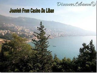 Jounieh From Casino Du Liban 