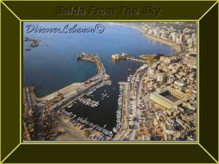 Saida From The Sky 