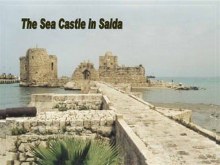 The Sea Castle in Saida 