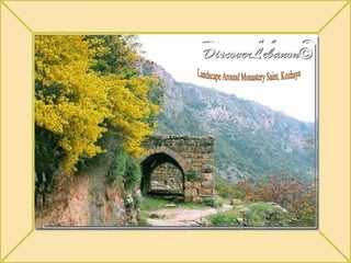 Landscape Around Monastery Saint. Kozhaya 