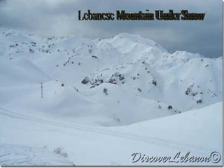 Lebanese Mountain Under Snow 