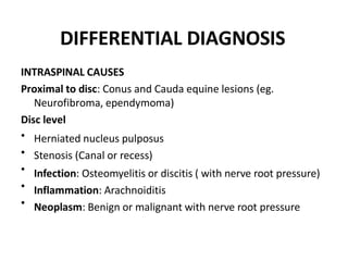 Prolapsed intervertebral disc | PPTX