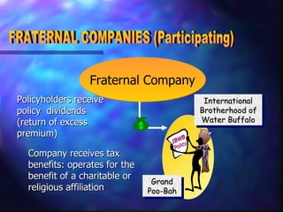 FRATERNAL COMPANIES (Participating) Fraternal Company Policyholders receive policy  dividends (return of excess premium) Company receives tax benefits: operates for the benefit of a charitable or religious affiliation Grand Poo-Bah International Brotherhood of Water Buffalo IBWB Policy 