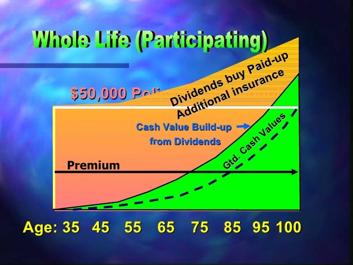 20 Pay Life Policy Life Insurance Basics 2