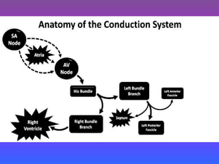LBBB + RBBB