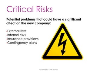 Powered by Lady Bizness
Critical Risks
Potential problems that could have a significant
affect on the new company:
•External risks
•Internal risks
•Insurance provisions
•Contingency plans
 