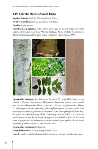 Lb especies forestales_sur_ecuador_2015 | PDF