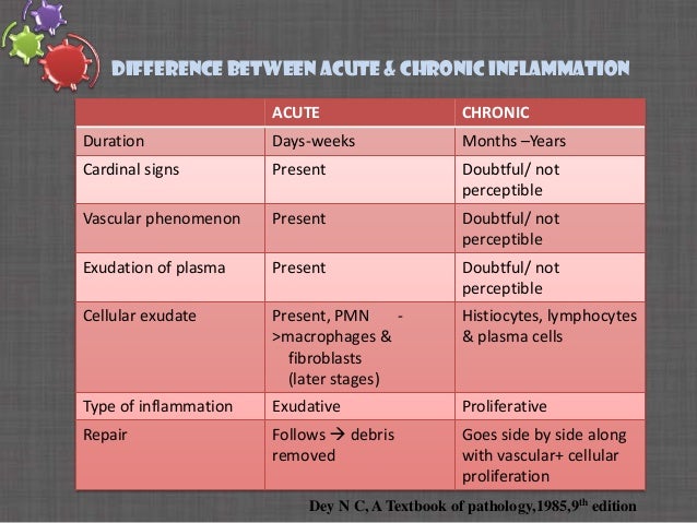 Inflammation Seminar by Dr Pratik