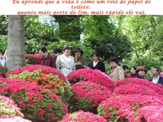 Eu aprendi que a vida é como um rolo de papel de
                    toilete:
 quanto mais perto do fim, mais rápido ele vai.
 