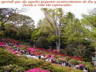 aprendi que são aqueles pequenos acontecimentos do dia qu
             fazem a vida tão espetacular.
 